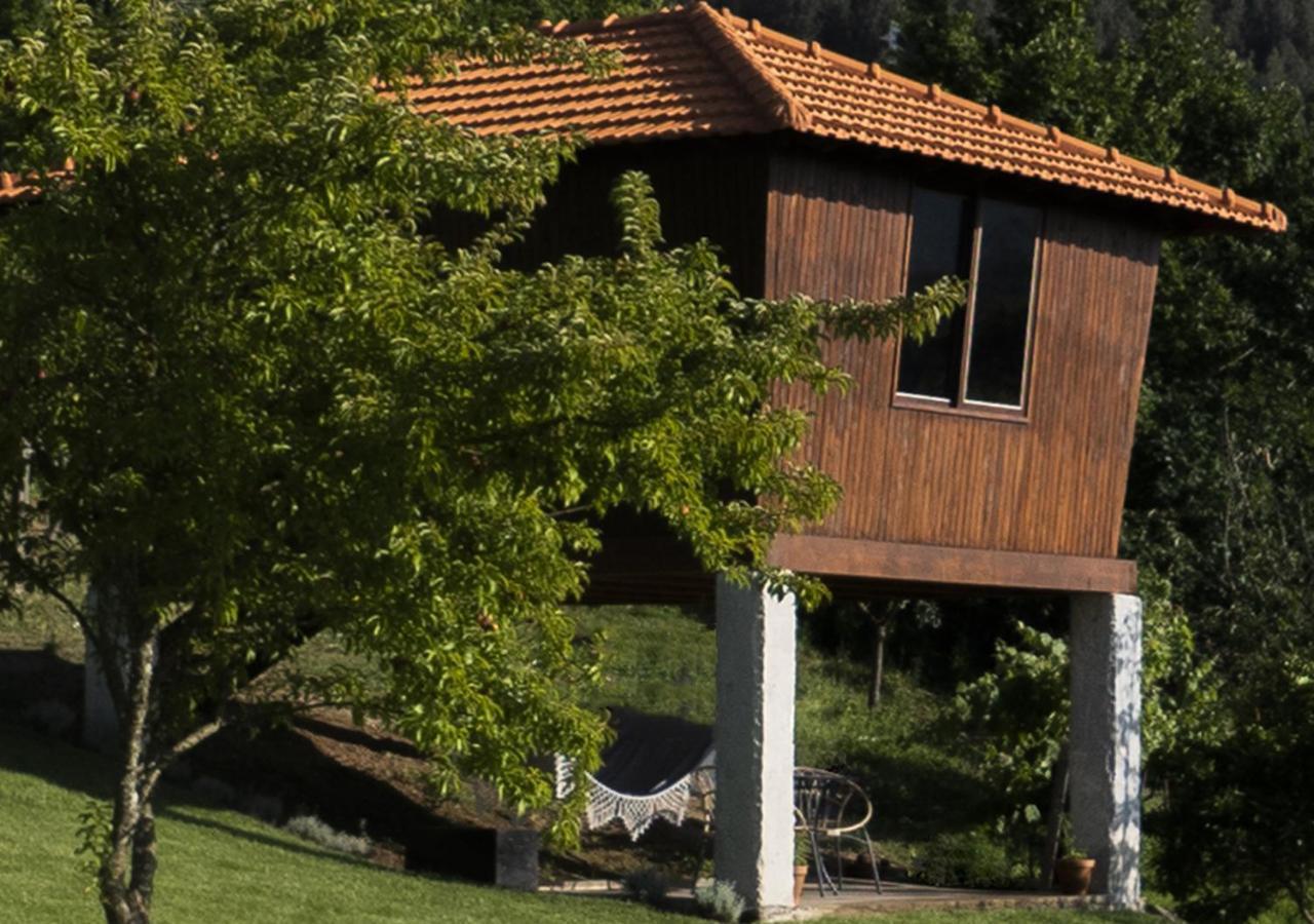 Cimo Da Vinha - Nature Spot Castelo de Paiva Exterior photo
